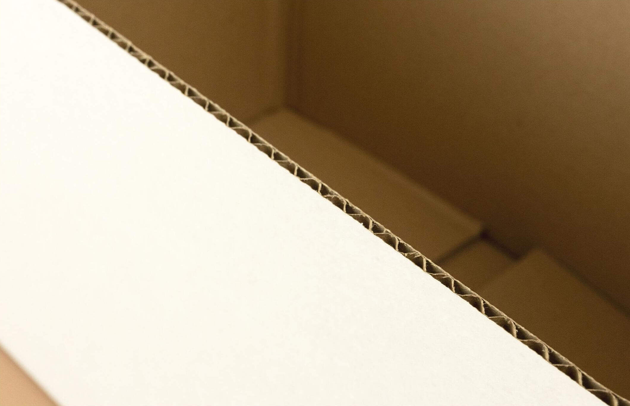 Faltkarton aus Wellpappe Faltkarton aus Wellpappe